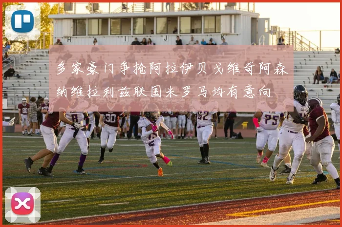多家豪门争抢阿拉伊贝戈维奇阿森纳维拉利兹联国米罗马均有意向