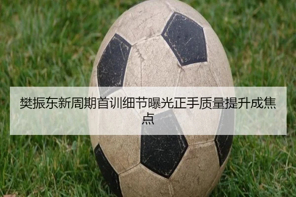 樊振东新周期首训细节曝光正手质量提升成焦点